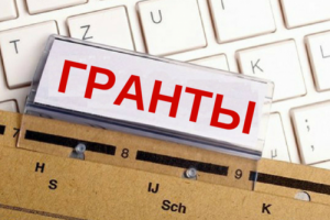 Объявление и конкурсная документация о проведении конкурсного отбора на предоставление грантов в форме субсидий из федерального бюджета